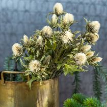 Distel künstlich Deko-Zweig Creme 10 Blütenköpfe 68cm 3St