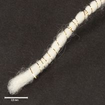 Artikel Wollkordel Weiß Goldfaden 5m x 5mm mit Draht für Deko und Basteln