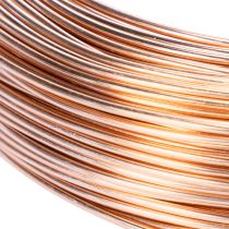 Artikel Aluminiumdraht Rolle für Basteln und Floristik 60m 500g