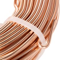 Artikel Aluminiumdraht Rolle für Basteln und Floristik 60m 500g