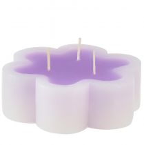 Artikel Dreidochtkerze als Blüte Kerze Lila Weiß Ø11,5cm H4cm