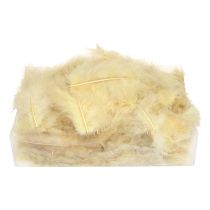 Artikel Echte Federn zum Basteln in Hellgelb 5cm – 10cm 20g
