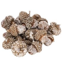 Artikel Eicheln Naturprodukt für Dekoration Weiß gewaschen 1-3cm 300g