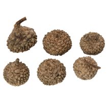 Artikel Eichelkappen natur Dekoschalen Herbst und Advent 2cm 300g