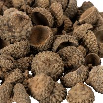 Artikel Eichelkappen natur Dekoschalen Herbst und Advent 2cm 300g