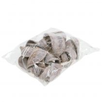 Artikel Elephant Ear Weiß gewaschen 25 St