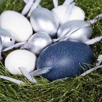 Artikel Emu Ei Natur 12cm - 14cm 1St