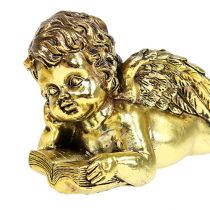 Engel mit Buch liegend Gold 11-13cm 4St