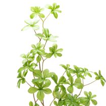 Artikel Kunstzweig Schefflera elegante Pflanzendekoration für Wohnräume 95cm