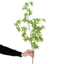 Artikel Kunstzweig Schefflera elegante Pflanzendekoration für Wohnräume 95cm