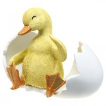 Artikel Geschlüpftes Küken, Entenfigur, Entenküken im Ei H10cm B12,5cm