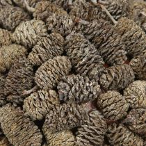 Artikel Erlenzapfen Deko Kugel zum Hängen Weiß gewaschen 20cm