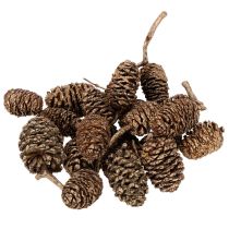 Artikel Erlenzapfen Naturprodukt zum Dekorieren und Basteln Gold 3cm 300g