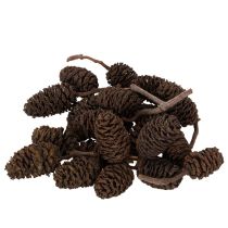 Artikel Naturbelassene Erlenzapfen lose für Dekoration 3cm 300g Erlenzapfen Naturbraun