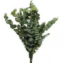 Artikel Eukalyptus Konserviert Zweige Blätter Rund Grün 150g