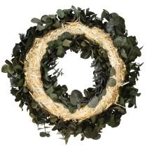 Artikel Eukalyptus Naturkranz Ø35cm konserviert Duftdeko