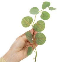 Artikel Deko Eukalyptuszweig ideale Tischdekoration 120cm