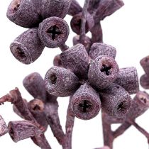 Artikel Eukalyptuszweig Brombeer gefrostet 25 St