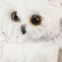 Artikel Eulen Deko Eulen Figuren zum Hängen Weiß Grau 6cm 2St