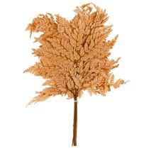 Artikel Farn Deko Orange Konserviert 45cm 10 St Home Dekoration DIY