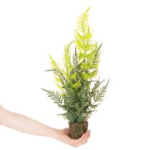 Artikel Kunstpflanze Farn mit Erdballen für Zuhause und Büro Dekoration 57cm