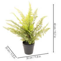 Artikel Kunstpflanze Farn im Topf für Innenraumbegrünung 40cm
