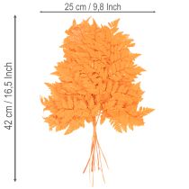 Artikel Farnzweig getrocknet konserviert für Floristik Herbstdeko 42cm 10St