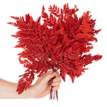 Artikel Farnzweig konserviert gefärbt Echter Farn für Herbstarrangements 42cm 10St