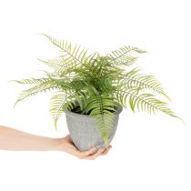 Artikel Künstlicher Farn im Pflanztopf für Wohnzimmer und Büro 35cm