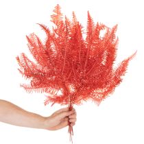 Artikel Farn konserviert Trockenblumen Deko Herbst 60cm 10St