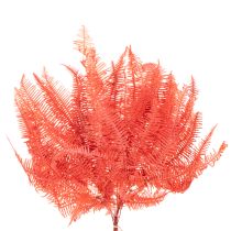 Artikel Farn konserviert Trockenblumen Deko Herbst 60cm 10St