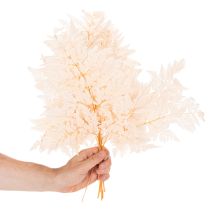 Artikel Trockendeko Farn für Vase 42cm 10St
