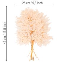 Artikel Trockendeko Farn für Vase 42cm 10St