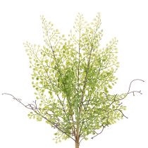 Artikel Künstlicher Ruscus Zweig grün für floristische Dekoration 41cm