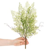 Artikel Künstlicher Ruscus Zweig grün für floristische Dekoration 41cm