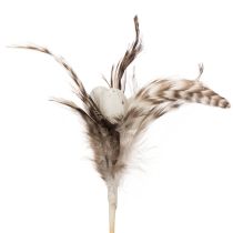 Artikel Federzweig Deko Stecker mit Naturfedern Osterdeko für elegante Arrangements 37cm 12St