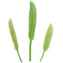Artikel Dekorative Federn für stilvolles Ambiente und beeindruckende Dekorationen 10cm