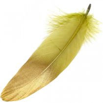 Artikel Federn zum Basteln Deko Federn Grün-Golden L16–20cm 24St