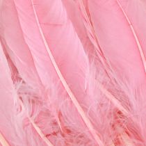 Artikel Federn zum Basteln Rosa Gänsefedern 18cm – 20cm 20g x 2St