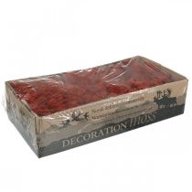 Artikel Deko Moos Rot Siena Naturmoos zum Basteln Getrocknet, gefärbt 500g