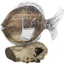 Deko-Fisch Holz Aufsteller auf Wurzel Maritime Deko 27cm
