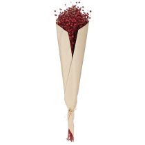 Artikel Flachs Bordeaux Rot Trockendeko Trockenblumen L55cm 80g