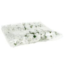 Artikel Foam Rose Ø 3,5cm weiß 48 St