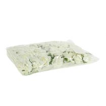 Artikel Foam Rose Ø3,5cm Creme 48 St