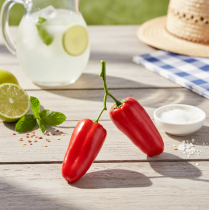 Artikel Künstliche Peperoni Rot am Zweig Gemüse Deko L8cm