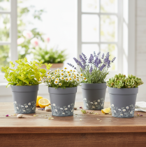 Artikel Blumentopf mit Blumenmuster für modernes Zuhause und sommerliche Balkondeko 13cm 4 St