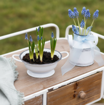 Artikel Metallschüssel Deko Weiß Schwarz Ø16,5cm H6,5cm 4St