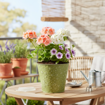 Artikel Blumentopf Metall Übertopf Sterne Grün Silber Ø16cm