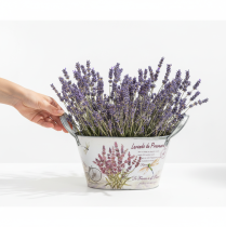 Artikel Blumenschale mit Griffen oval Metall Lavendel 26×13×14,5cm