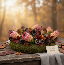 Artikel Compacta Pink 25 St